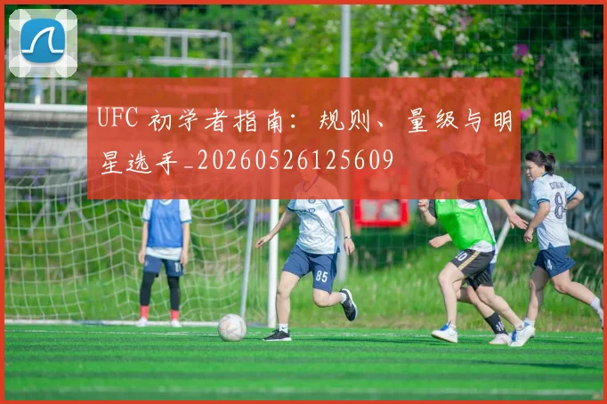 UFC 初学者指南:规则、量级与明星选手_20260526125609