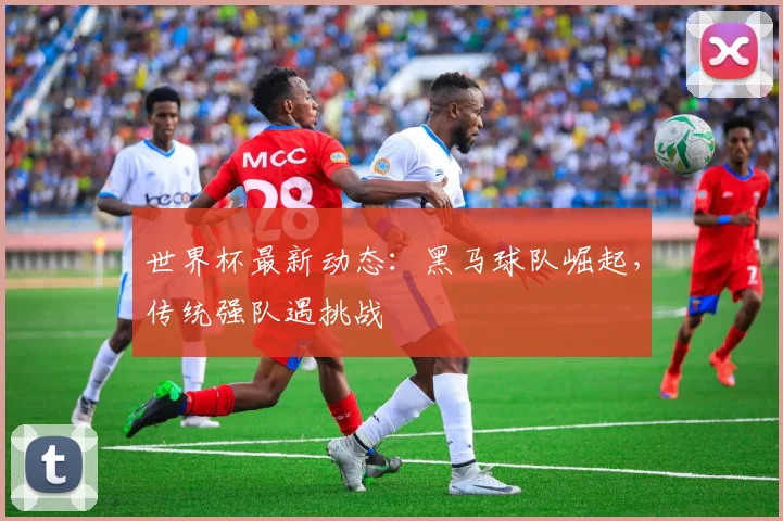 世界杯最新动态：黑马球队崛起，传统强队遇挑战