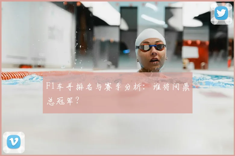 F1车手排名与赛季分析：谁将问鼎总冠军？